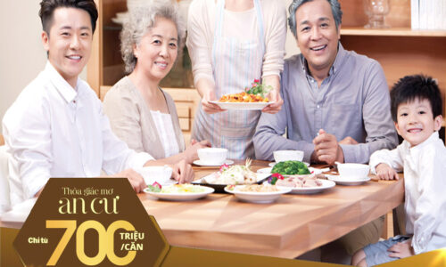 Bán căn hộ Ecolife Quy Nhơn, đường điện biên phủ giá 700 triệu